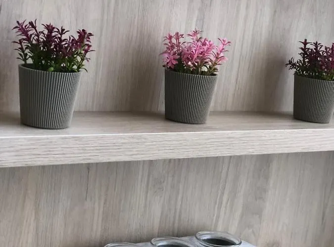 Loft 4 Maracena Centro
